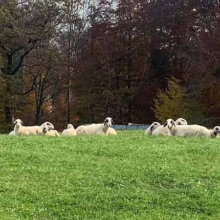 Apartmán Ammersee Loft